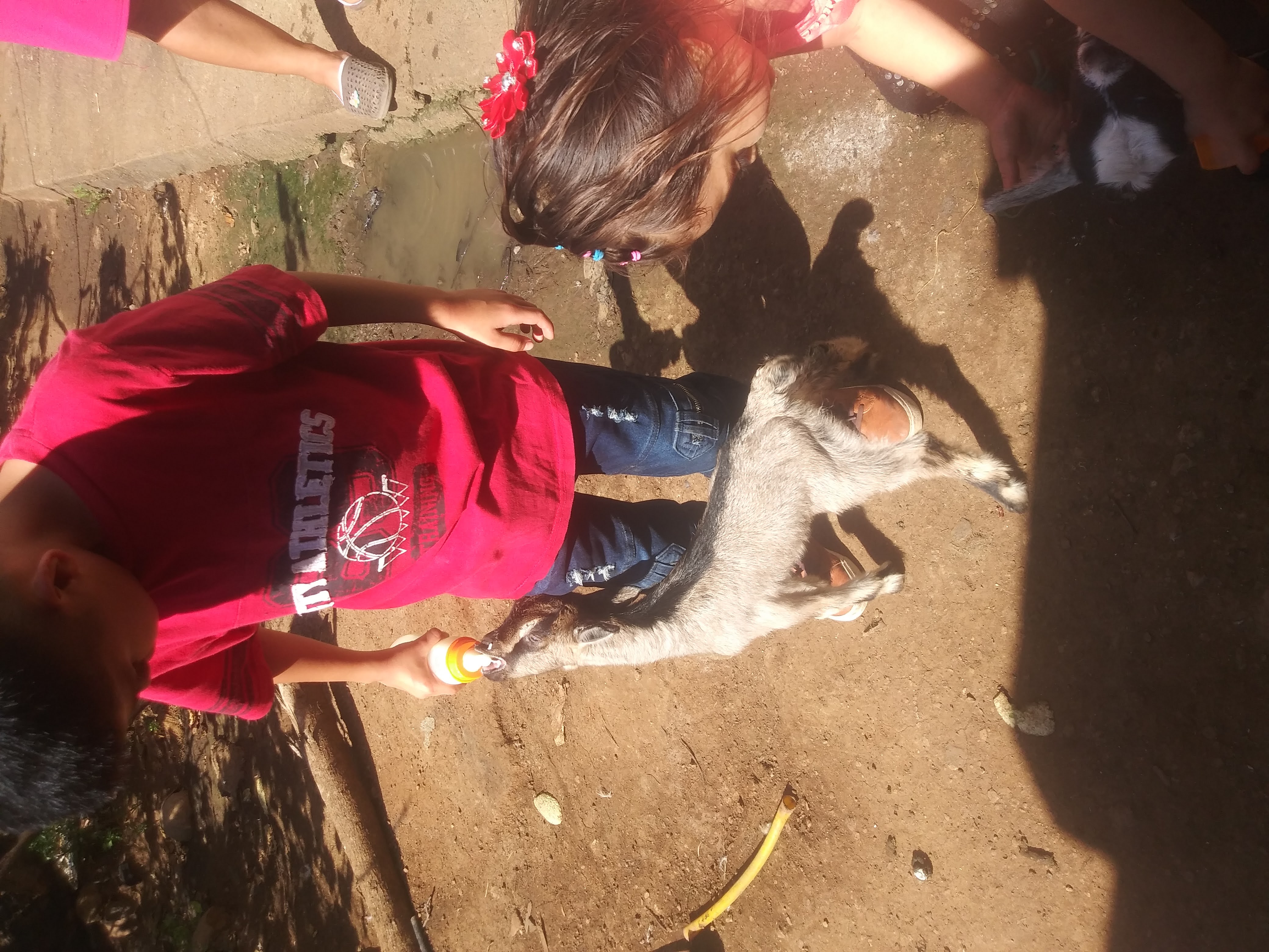 Día del Niño