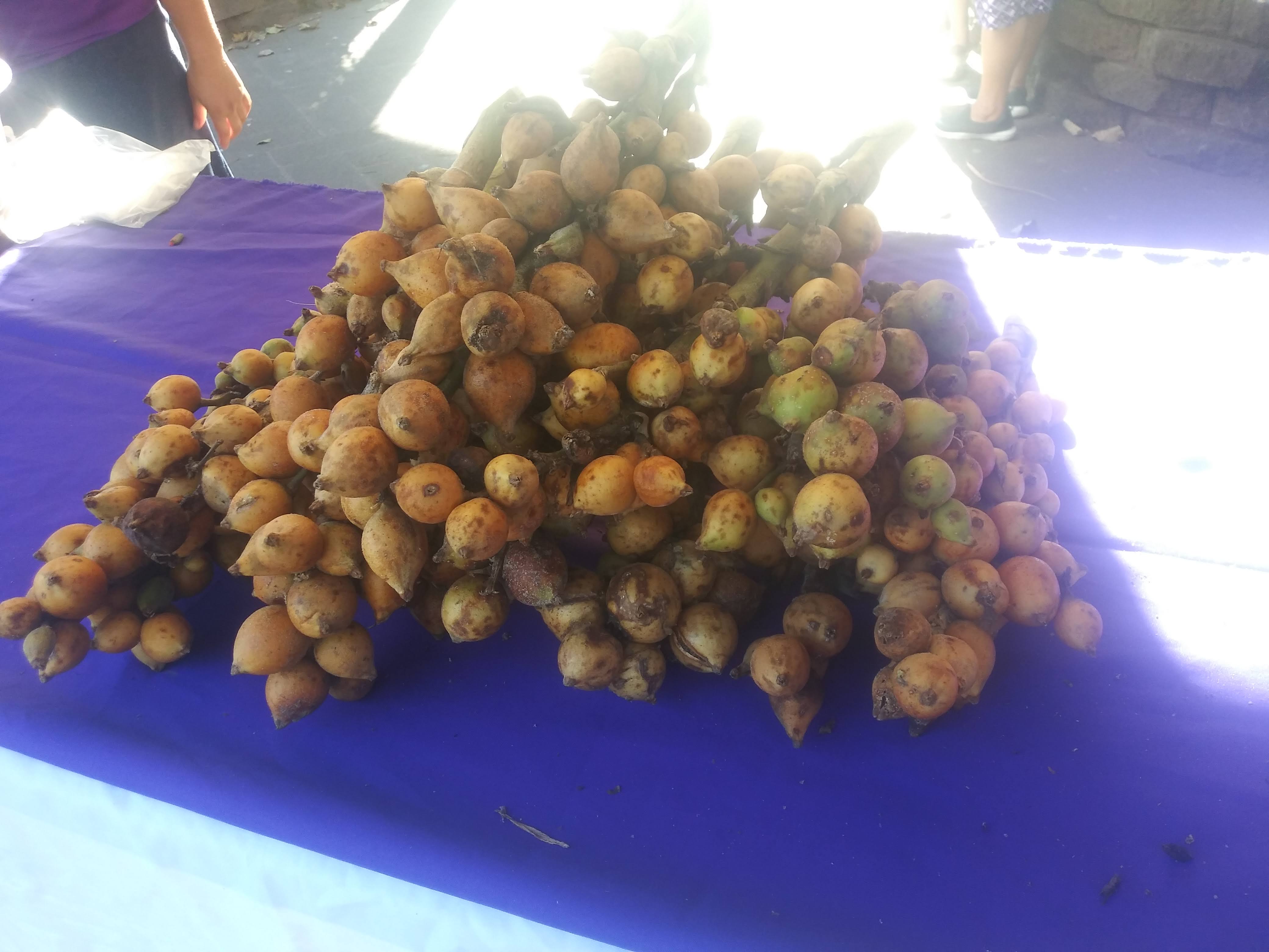 Mercadito Solidario Agroecológico 
