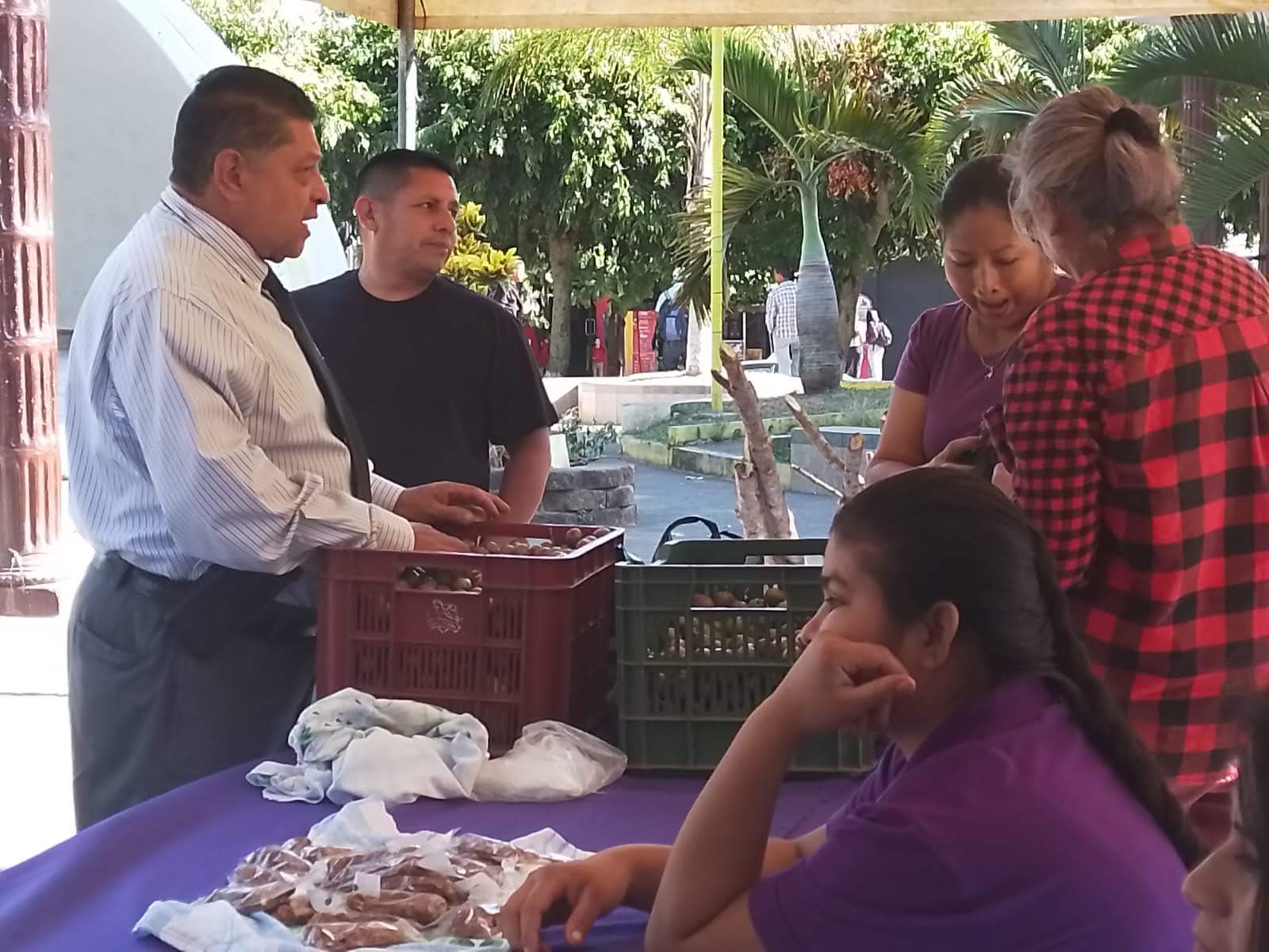 Mercadito Solidario Agroecológico 