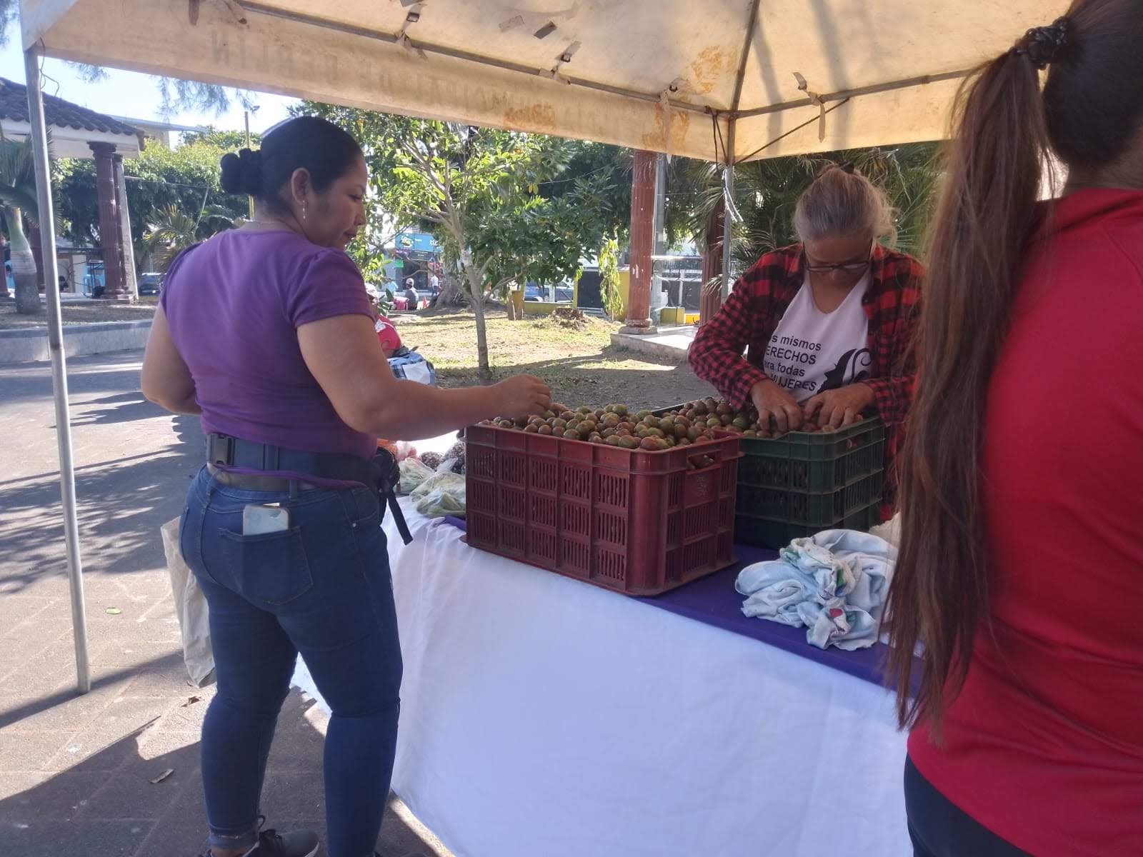Mercadito Solidario Agroecológico 