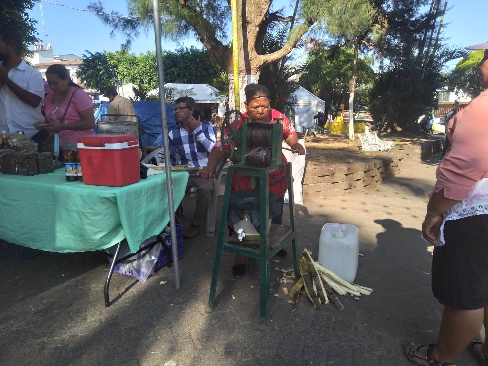 Mercadito Solidario Agroecológico 