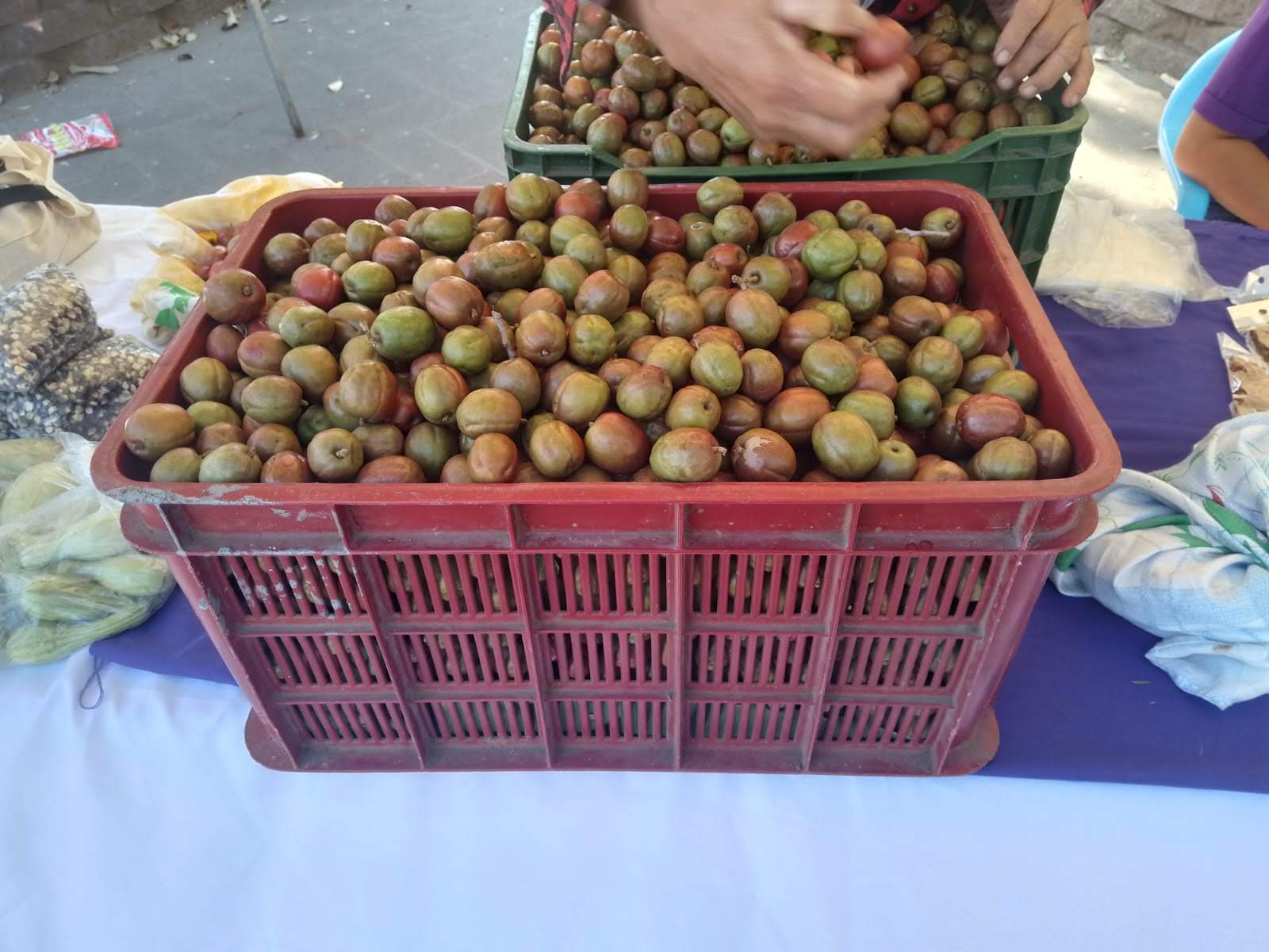 Mercadito Solidario Agroecológico 