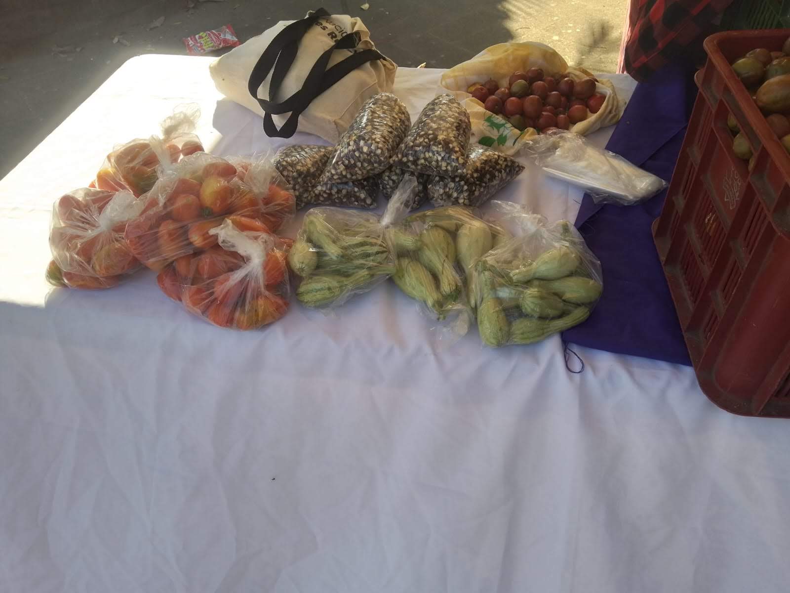 Mercadito Solidario Agroecológico 