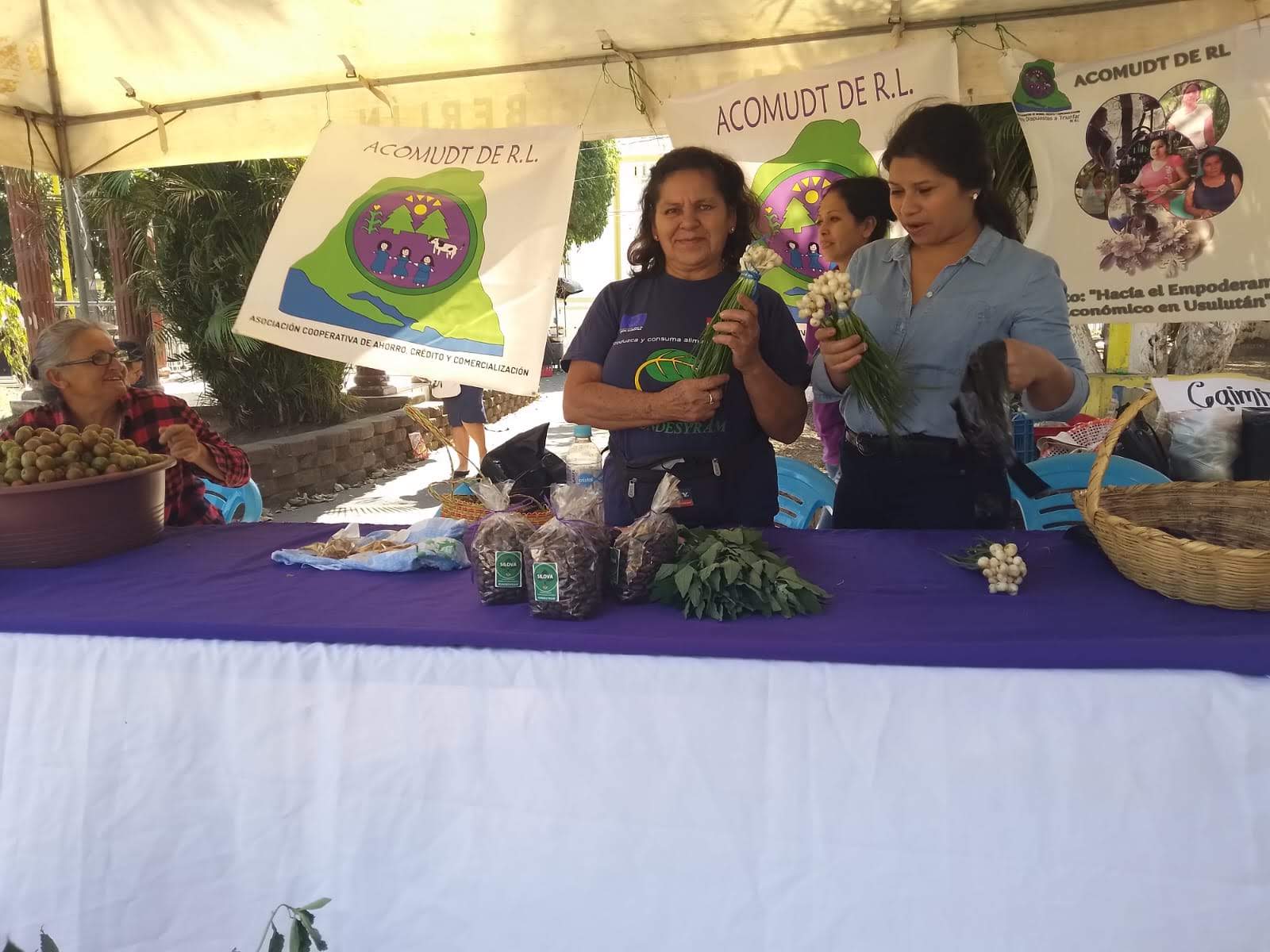Mercadito Solidario Agroecológico 