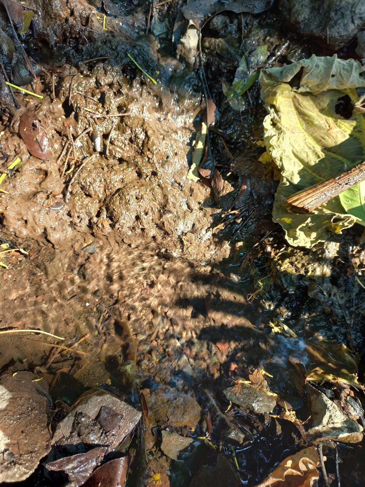 Visita al río Agua caliente de la comunidad La Alejandría 